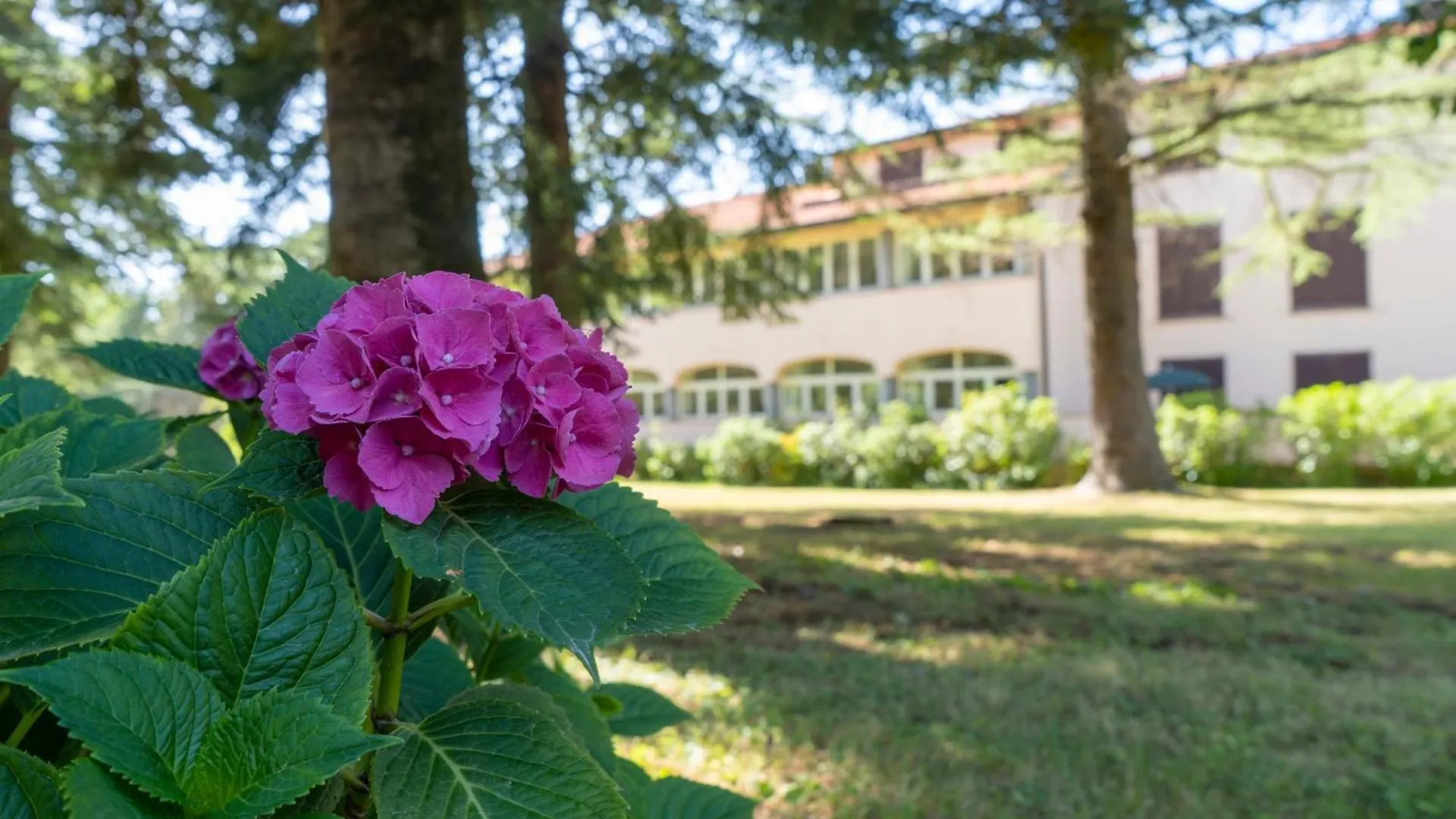 Hotel Toscana Wellness Resort Arcidosso