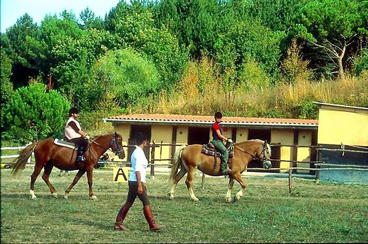 Toscana Wellness Resort Arcidosso 4*,